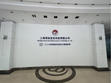 数字化转型的护航者 上海博鼠信息科技的网络技术服务探索
